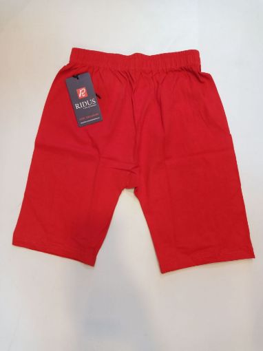 Picture of MDL00719 :: Size:9-10 Years :: Girls Innerwear-Bottoms