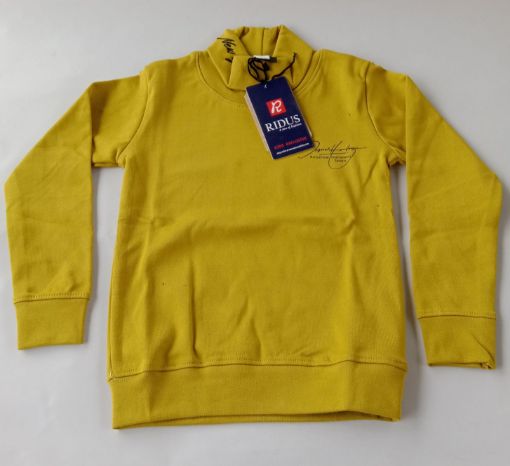 Picture of MDL02681 :: Size:3-4 Years :: Boys SweatShirt