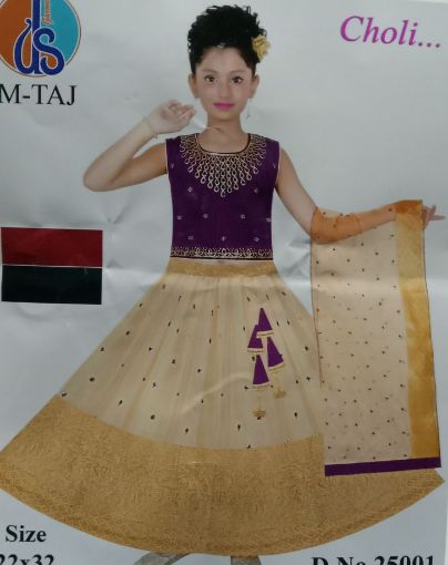 Picture of MDL03104 :: Size:3-4 Years :: Girls Lehenga