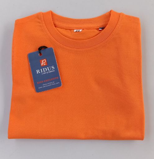 Picture of MDL03185 :: Size:10-11 Years :: Boys T-Shirts